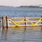exceso-hidrico-en-el-agro:-“empiezan-a-haber-problemas-tanto-en-los-rendimientos-como-en-la-calidad”