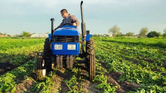 “hay-menores-precios-relativos-y-por-eso-crece-menos-de-lo-que-podria-crecer”,-indico-un-ex-secretario-de-agricultura