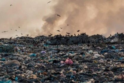 mas-de-5.000-basurales-a-cielo-abierto:-contaminacion,-enfermedades-y-riesgo-infantil