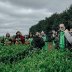 la-expo-te-2026-suma-recorridos-guiados-para-mostrar-el-detras-de-escena-del-te-gourmet-misionero