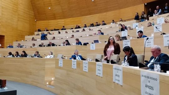 el-“factor-milei”-agito-la-interna-radical:-duro-cruce-rossi–nicolas-y-tension-en-la-unicameral-por-el-pami
