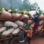“el-estado-es-responsable”:-productores-de-yerba-mate-vuelven-a-cortar-rutas-en-reclamo-por-un-aumento-en-el-precio-de-la-materia-prima