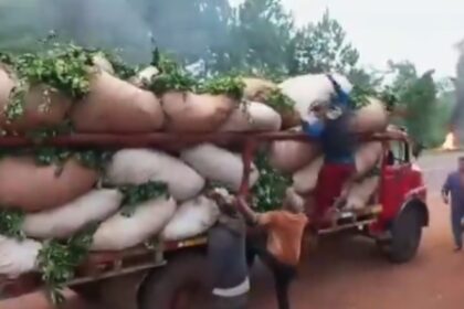 “el-estado-es-responsable”:-productores-de-yerba-mate-vuelven-a-cortar-rutas-en-reclamo-por-un-aumento-en-el-precio-de-la-materia-prima