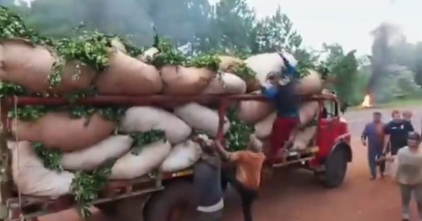 “el-estado-es-responsable”:-productores-de-yerba-mate-vuelven-a-cortar-rutas-en-reclamo-por-un-aumento-en-el-precio-de-la-materia-prima