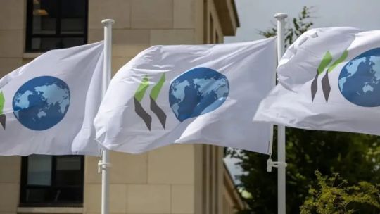 argentina-inicia-el-camino-hacia-la-ocde:-que-debe-mejorar