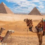 viajes-a-egipto-desde-argentina:-que-incluye-un-paquete,-precios-y-recorrido-completo-en-8-dias.