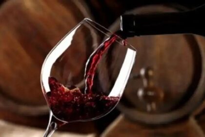 sector-vitivinicola:-“el-mercado-interno-no-encuentra-el-piso-y-sigue-cayendo-el-consumo-per-capita”