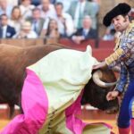 gravisima-cornada-a-morante-de-puebla-en-sevilla:-sufrio-perforacion-de-recto-y-fue-operado-de-urgencia