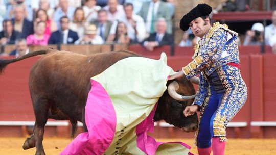 gravisima-cornada-a-morante-de-puebla-en-sevilla:-sufrio-perforacion-de-recto-y-fue-operado-de-urgencia