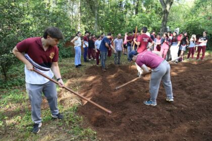 impulsan-huertas-escolares-con-una-jornada-practica-en-el-instituto-superior-san-jose-de-eldorado