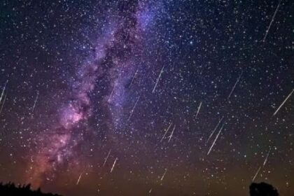 cuando-y-como-ver-la-lluvia-de-estrellas-liridas-2026-desde-la-argentina?