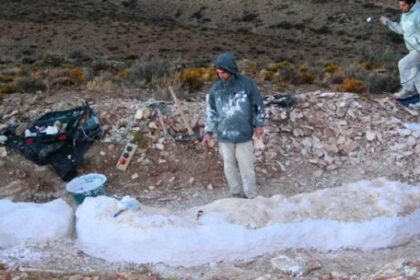 un-poblador-rural-encontro-restos-fosiles-de-una-nueva-especie-de-dinosaurio-herbivoro-en-la-patagonia