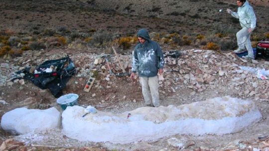 un-poblador-rural-encontro-restos-fosiles-de-una-nueva-especie-de-dinosaurio-herbivoro-en-la-patagonia