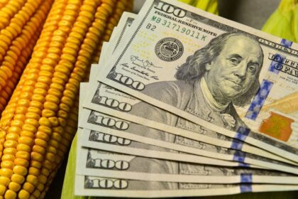 boom-exportador-primario-y-dolar-calmo:-los-analistas-ven-improbable-una-crisis-del-sector-externo