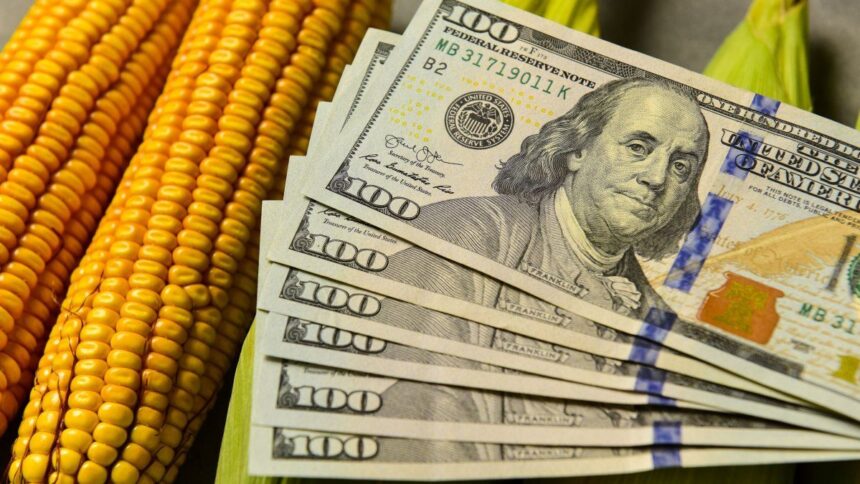 boom-exportador-primario-y-dolar-calmo:-los-analistas-ven-improbable-una-crisis-del-sector-externo