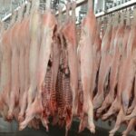“necesitamos-equilibrar-la-cancha”:-crecio-la-importacion-de-carne-de-cerdo-desde-brasil-en-el-primer-trimestre-del-ano
