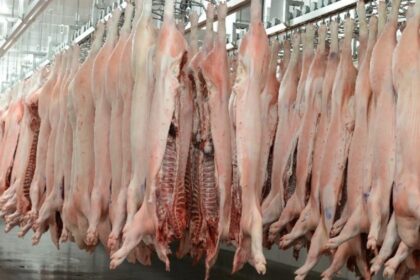 “necesitamos-equilibrar-la-cancha”:-crecio-la-importacion-de-carne-de-cerdo-desde-brasil-en-el-primer-trimestre-del-ano