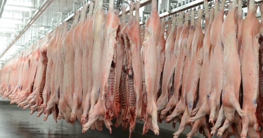 “necesitamos-equilibrar-la-cancha”:-crecio-la-importacion-de-carne-de-cerdo-desde-brasil-en-el-primer-trimestre-del-ano