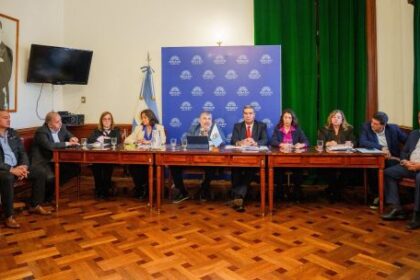senadores-del-nea-impulsan-una-tarifa-electrica-diferenciada-con-rebajas-de-hasta-el-50%