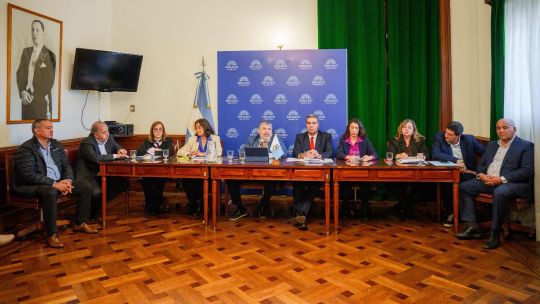 senadores-del-nea-impulsan-una-tarifa-electrica-diferenciada-con-rebajas-de-hasta-el-50%