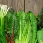 los-productores-contienen-los-aumentos-en-verduras-de-hoja-verde-pese-a-las-perdidas-por-las-lluvias