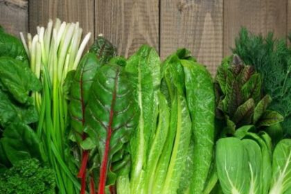 los-productores-contienen-los-aumentos-en-verduras-de-hoja-verde-pese-a-las-perdidas-por-las-lluvias