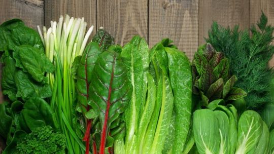 los-productores-contienen-los-aumentos-en-verduras-de-hoja-verde-pese-a-las-perdidas-por-las-lluvias