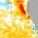 preocupacion-por-“el-nino”:-como-impactara-el-ingreso-del-fenomeno-en-el-clima-de-misiones
