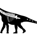 another-dinosaur-discovery:-scientists-discover-‘bicharracosaurus’-in-patagonia