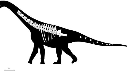 another-dinosaur-discovery:-scientists-discover-‘bicharracosaurus’-in-patagonia