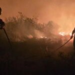 incendios-en-la-patagonia:-la-jugada-de-una-fintech-que-busca-frenar-el-desastre-antes-de-que-se-pierda-todo
