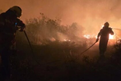 incendios-en-la-patagonia:-la-jugada-de-una-fintech-que-busca-frenar-el-desastre-antes-de-que-se-pierda-todo
