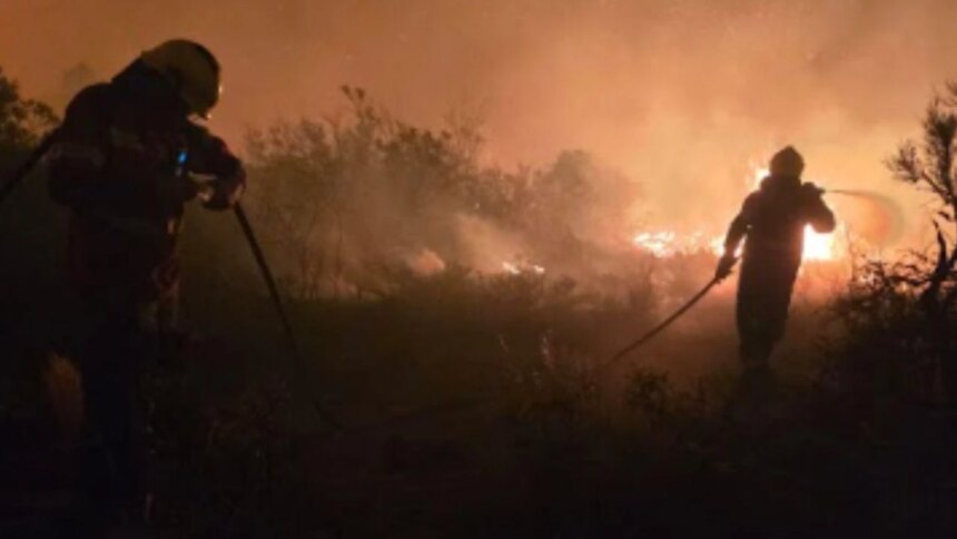 incendios-en-la-patagonia:-la-jugada-de-una-fintech-que-busca-frenar-el-desastre-antes-de-que-se-pierda-todo