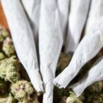 el-departamento-de-justicia-de-eeuu.-flexibilizara-las-restricciones-a-la-marihuana