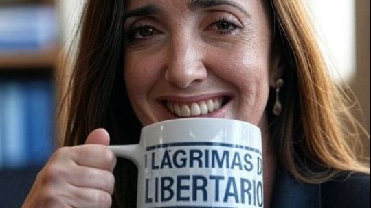 “papelon”:-el-gobierno-cuestiono-la-ausencia-de-victoria-villarruel-en-la-misa-de-la-que-participaron-adorni,-santilli-y-menem