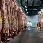 mercosur–ue:-desde-el-1°-de-mayo-la-cuota-hilton-pasa-a-arancel-cero-y-se-abre-una-nueva-cuota-de-99.000-toneladas