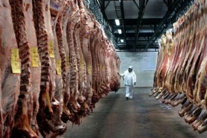 mercosur–ue:-desde-el-1°-de-mayo-la-cuota-hilton-pasa-a-arancel-cero-y-se-abre-una-nueva-cuota-de-99.000-toneladas
