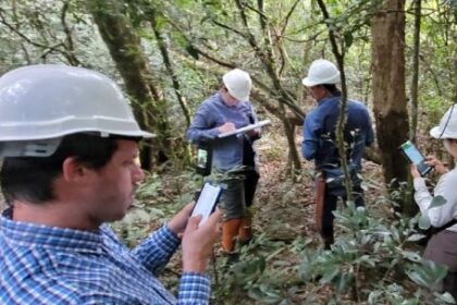 como-es-el-ambicioso-plan-para-restaurar-un-corredor-biologico-de-la-selva-misionera?