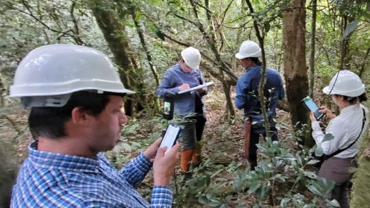 como-es-el-ambicioso-plan-para-restaurar-un-corredor-biologico-de-la-selva-misionera?