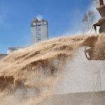 las-exportaciones-agroindustriales-se-dispararon-31,4%-en-marzo-y-en-el-primer-trimestre-superaron-los-us$-12.200-millones