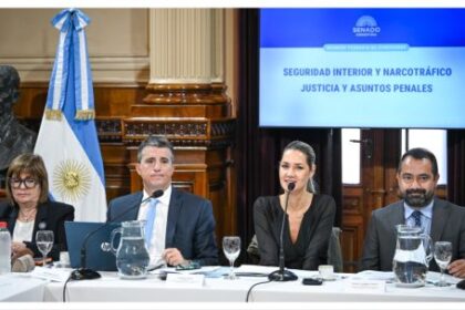 el-gobierno-avanza-en-el-senado-con-la-ley-para-blanquear-armas-de-fuego