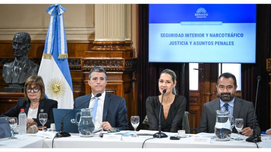 el-gobierno-avanza-en-el-senado-con-la-ley-para-blanquear-armas-de-fuego