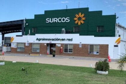 surcos-sa.:-el-mapa-de-un-holding-unificado-que-busca-evitar-el-efecto-domino-del-default