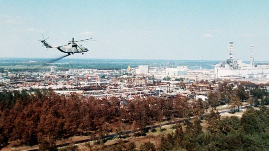 “bosque-rojo”-de-chernobyl,-la-cicatriz-que-dejo-la-naturaleza