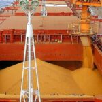 vuelan-las-exportaciones-de-un-cereal-que-tiene-111-mercados-abiertos-y-acaba-de-llegar-por-primera-vez-a-china
