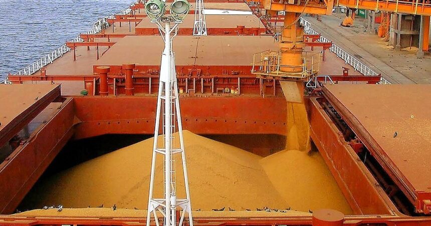 vuelan-las-exportaciones-de-un-cereal-que-tiene-111-mercados-abiertos-y-acaba-de-llegar-por-primera-vez-a-china
