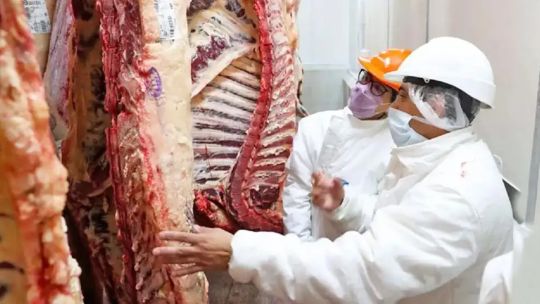 seguridad-juridica-y-prevision:-las-claves-para-impulsar-la-venta-de-carne-argentina-al-exterior