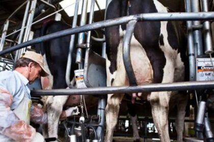 avance-tecnologico-en-la-produccion-de-tambos:-“la-produccion-lechera-en-argentina-no-tiene-limites”