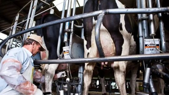 avance-tecnologico-en-la-produccion-de-tambos:-“la-produccion-lechera-en-argentina-no-tiene-limites”