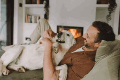 29-de-abril:-por-que-argentina-celebra-el-dia-del-animal-y-como-el-cuidado-responsable-se-volvio-una-prioridad